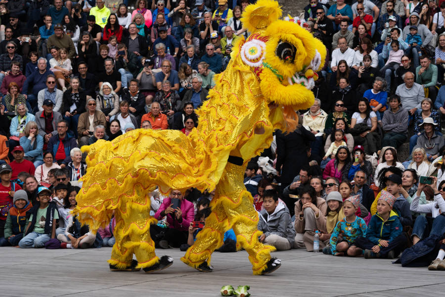 Chinesischer Löwentanz - Choy Li Fut Kung Fu Schule